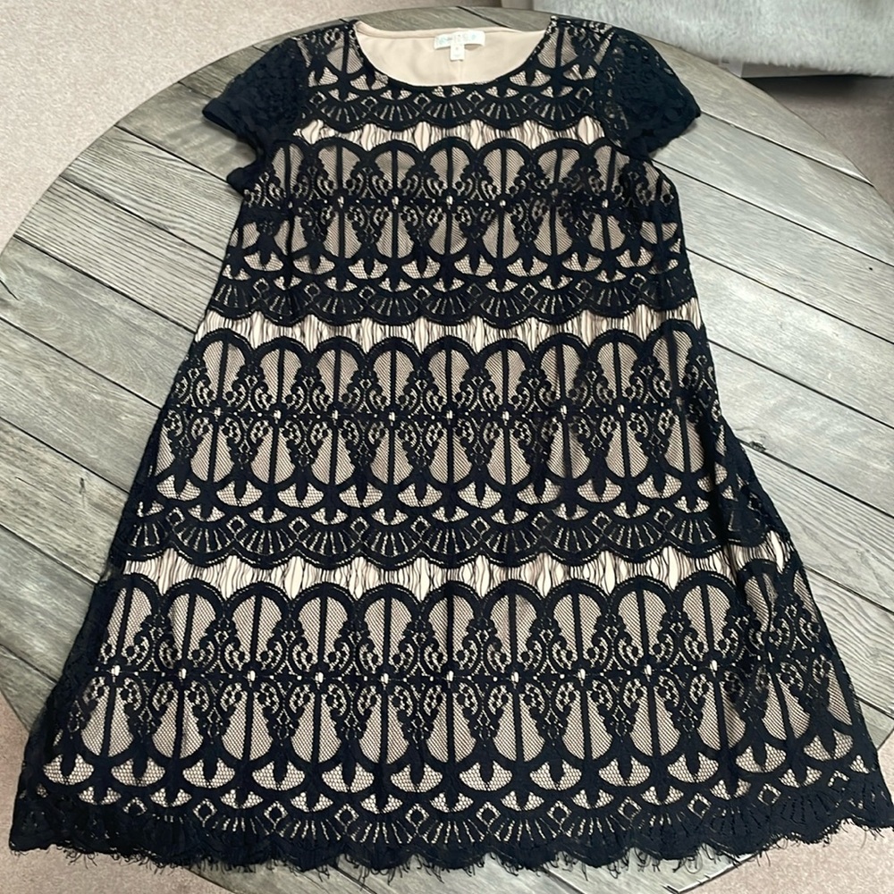 Black & Nude Dress